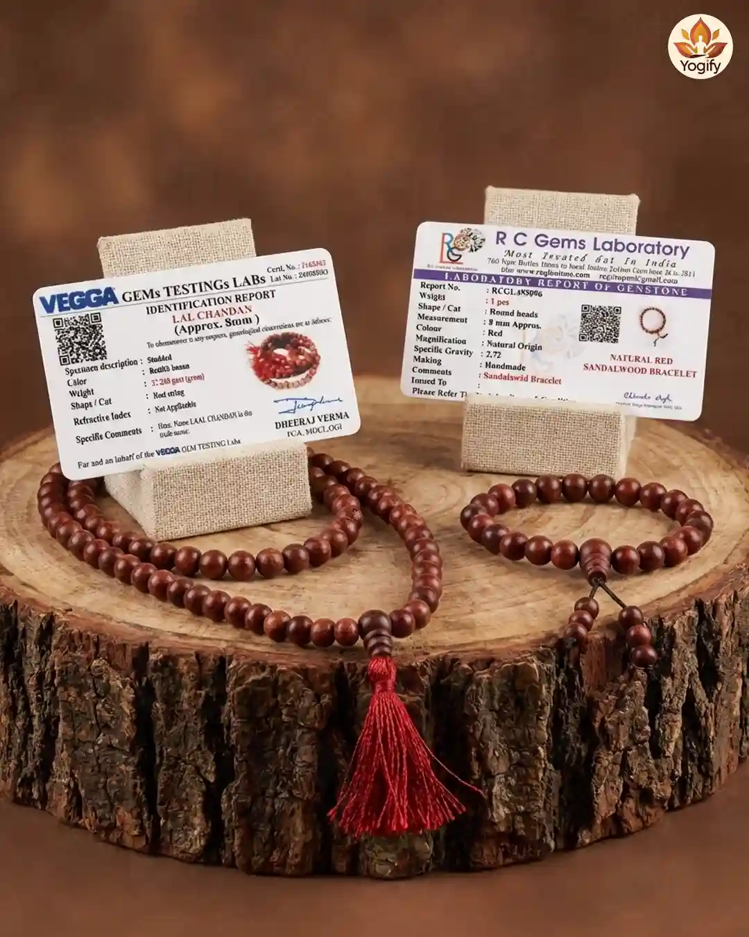 Red Sandalwood Mala and Bracelet with certificate combo - 8 mm