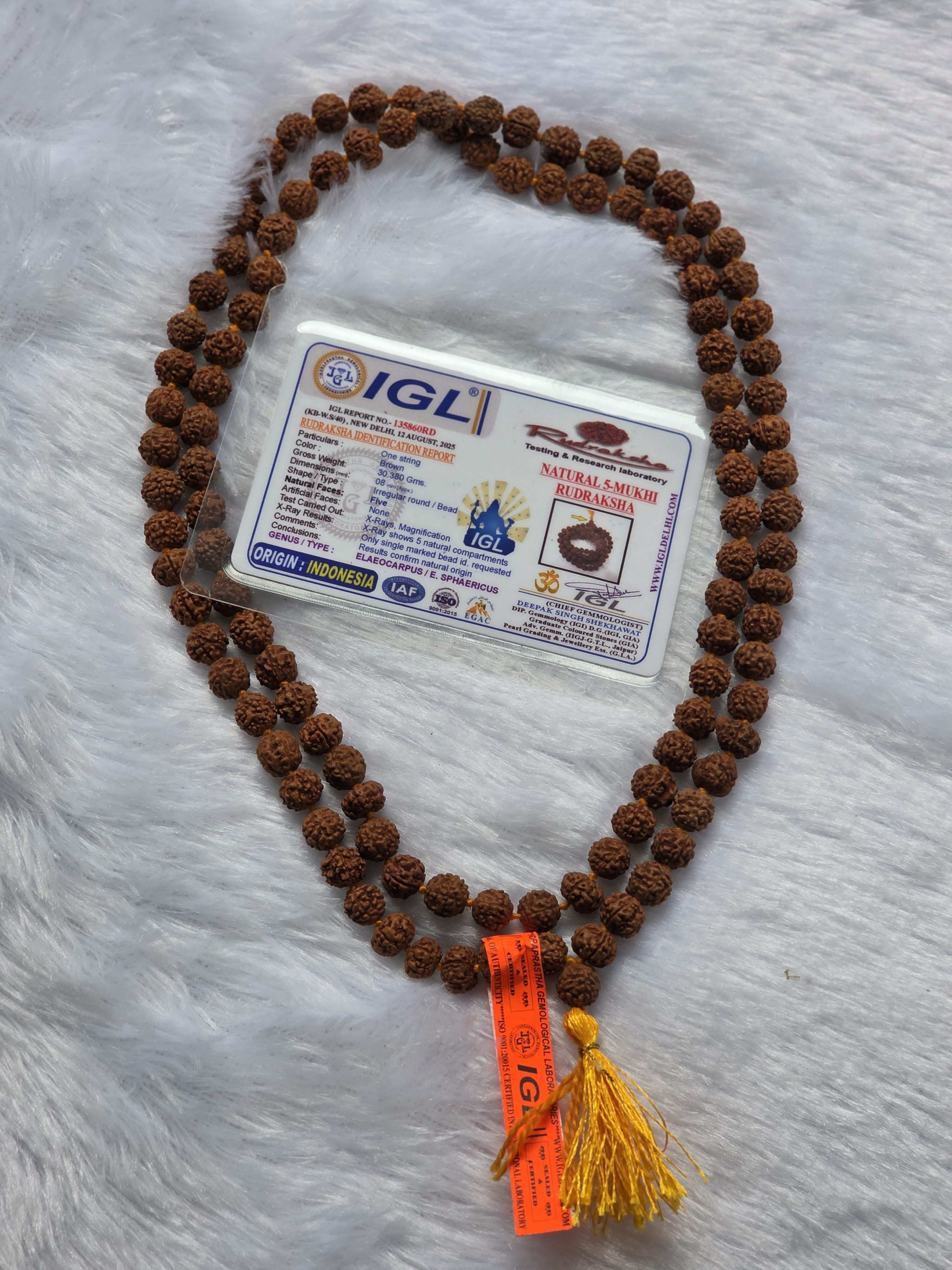 Indonesian Rudraksh Mala - 8 mm - 108 Beads with certificate