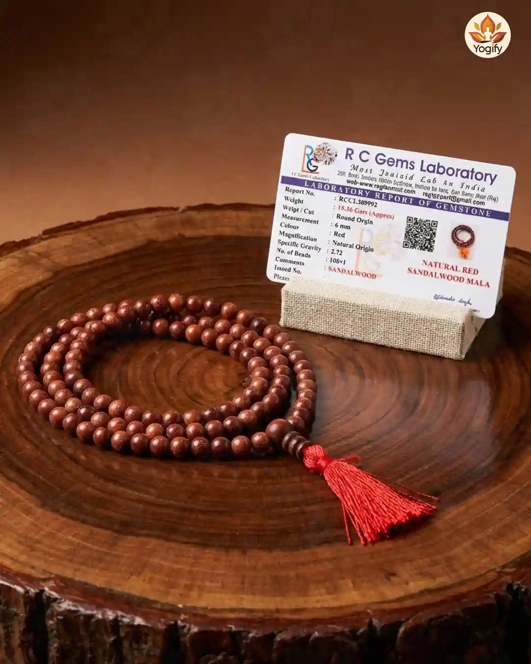 Red Sandalwood Mala and Bracelet with certificate combo - 6 mm