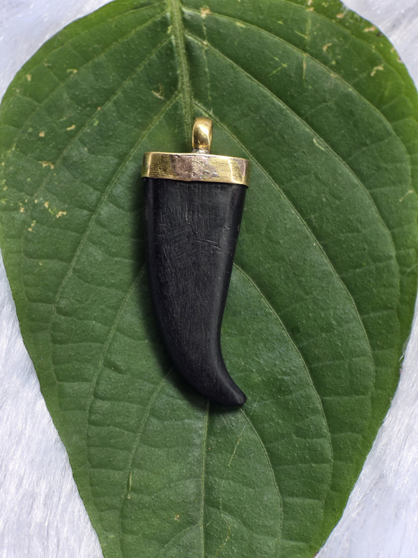 Karungali Tiger Claw Pendant